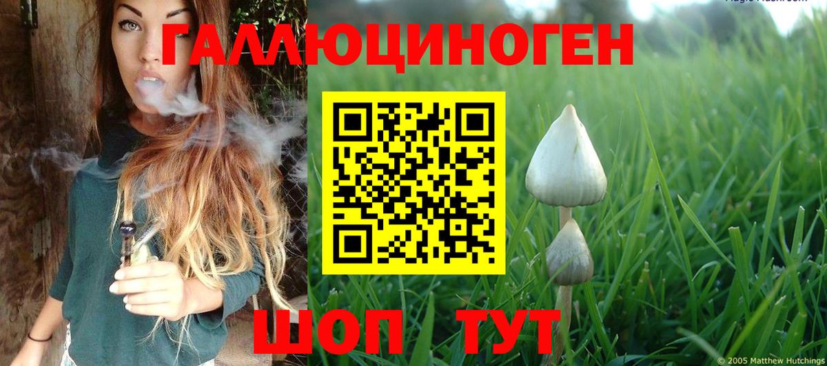 Галлюциногенные грибы мицелий Шадринск