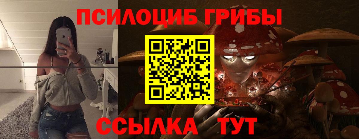 Псилоцибиновые грибы Magic Shrooms  Вход с VPN  Шадринск  Псилоцибиновые грибы Magic Shrooms 